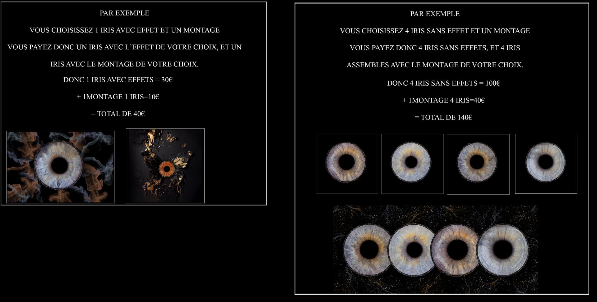 Exemple achat iris copier copie
