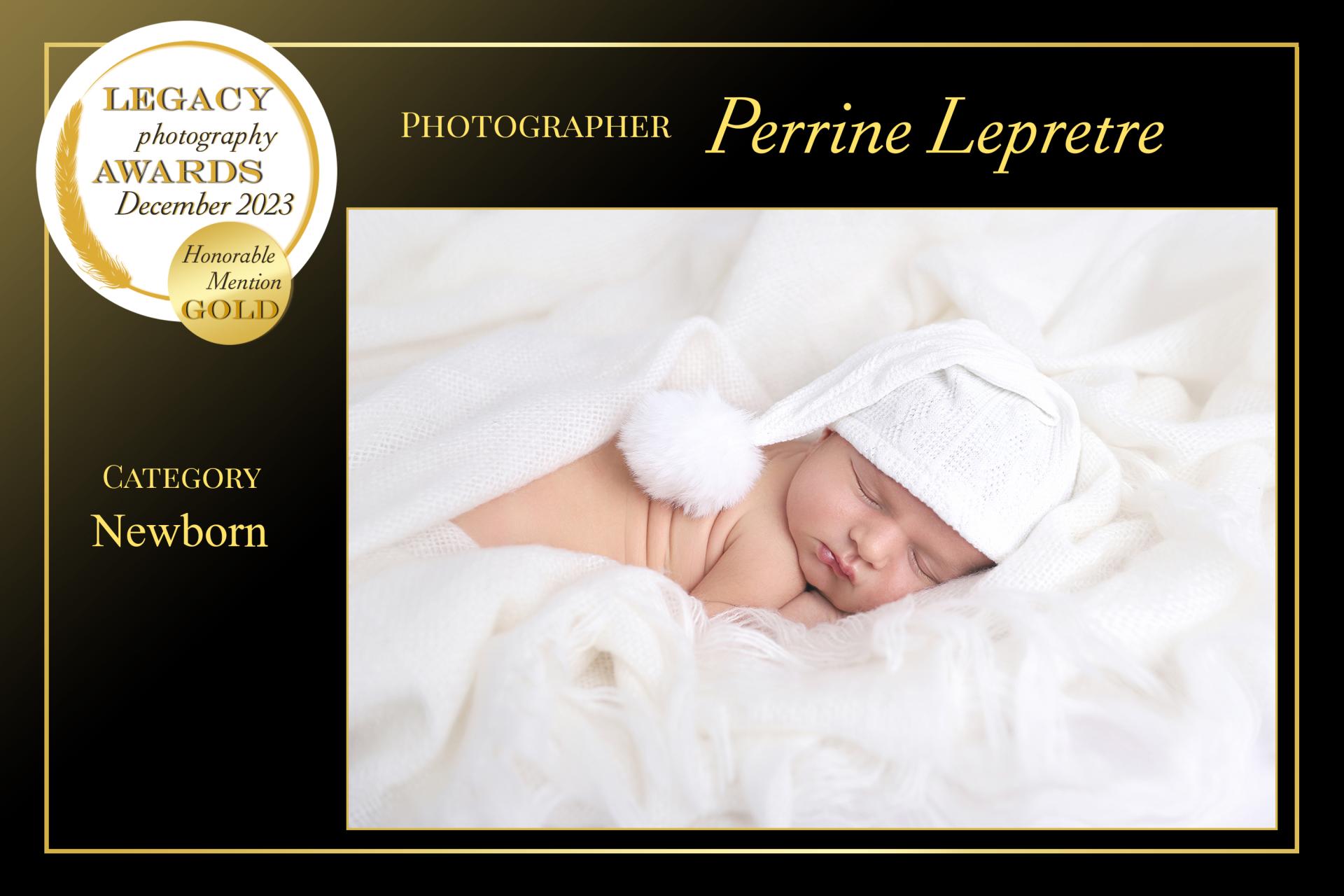 Perrine lepretre viii 1