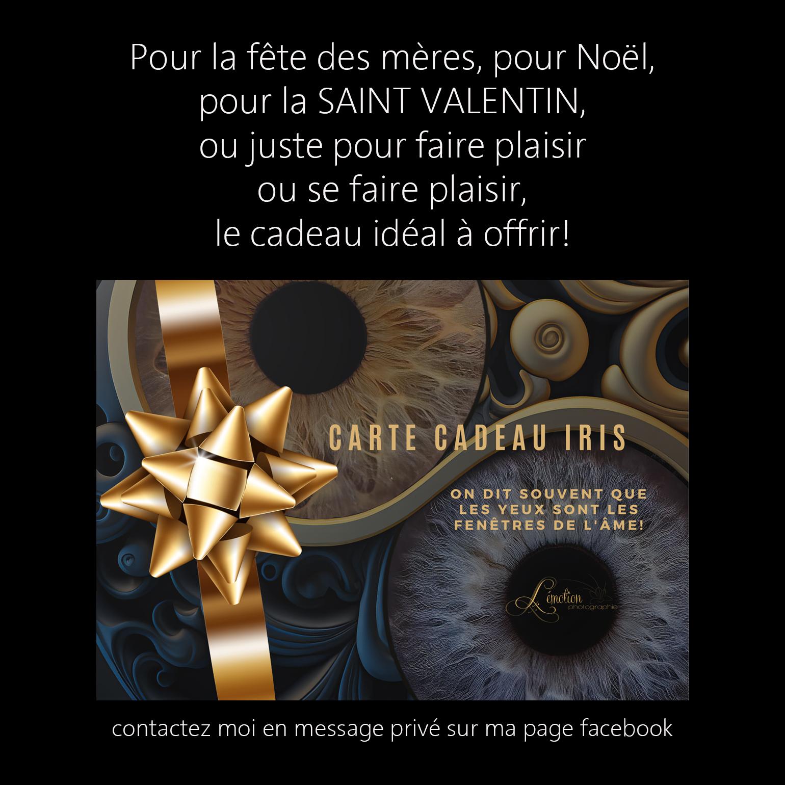 Sans titre 3